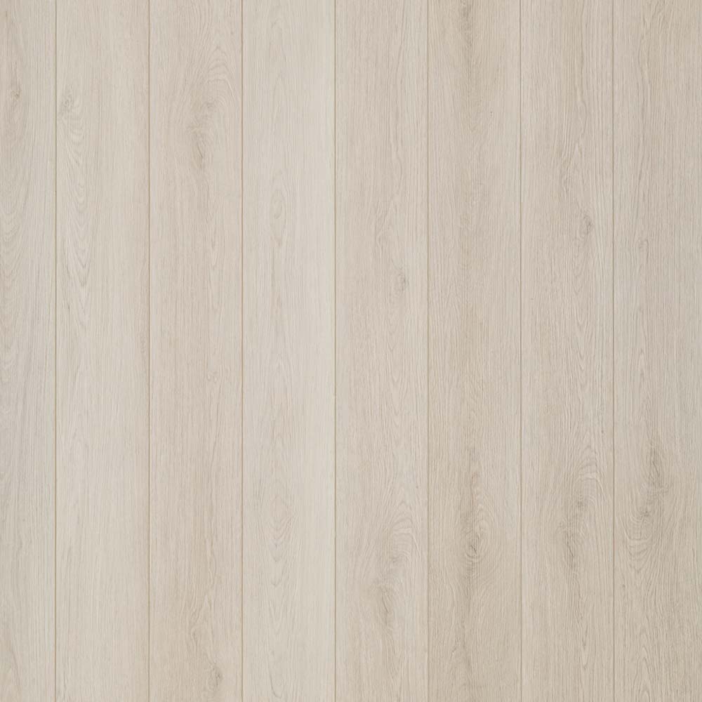 Birch.jpg