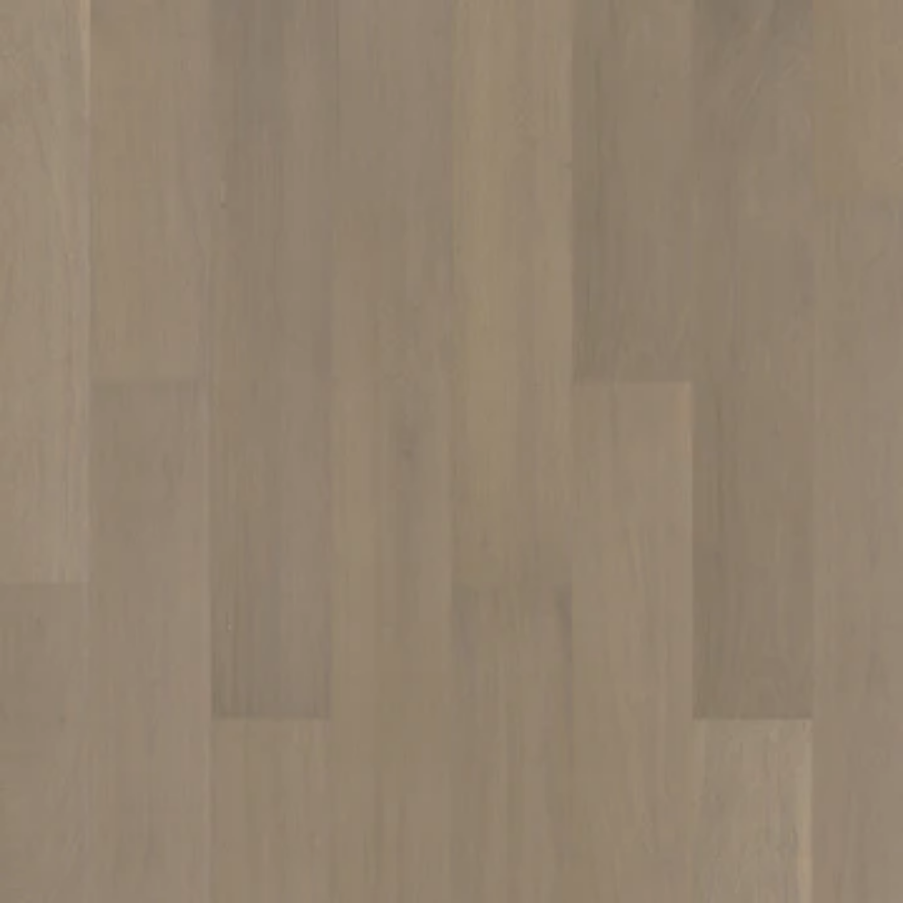 DRIFTWOOD.png