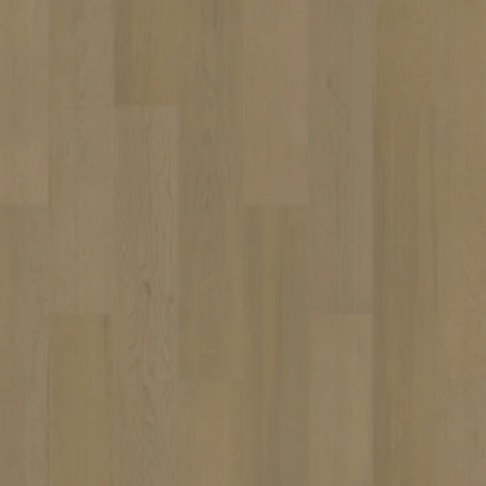 NAKED OAK.png