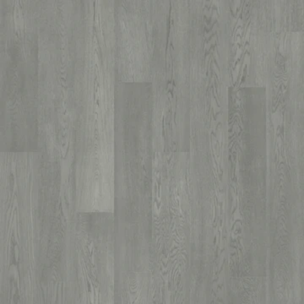 SNOW FLAKE.png